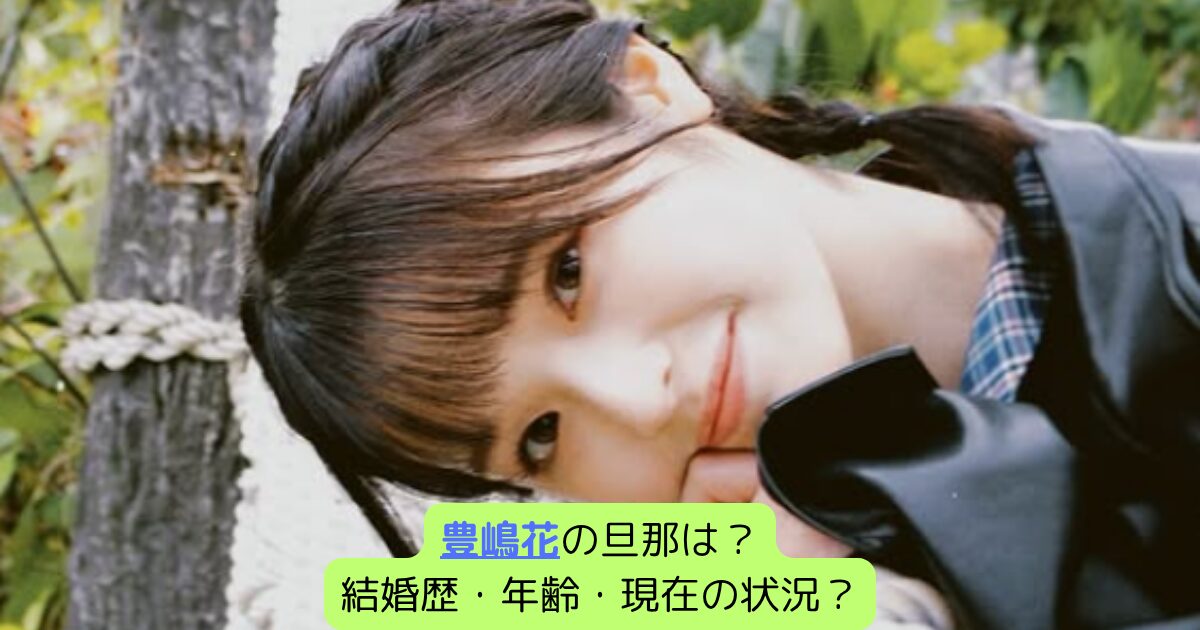 豊嶋花の旦那は？結婚歴・年齢・現在の状況？